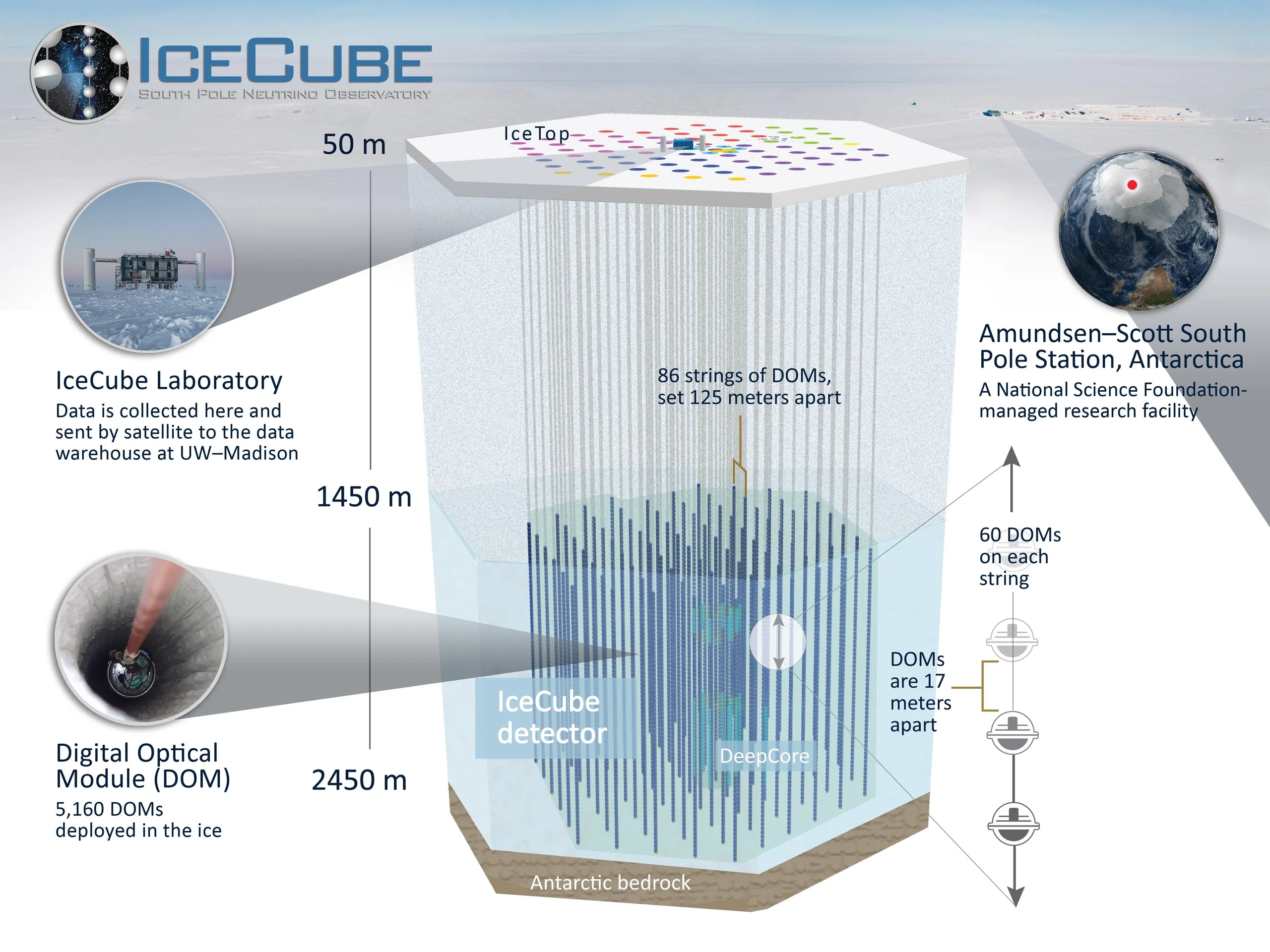 Schema dell'osservatorio IceCube al Polo Sud con 86 cavi e 5.160 sensori ottici tra 1.450 e 2.450 metri di profondità