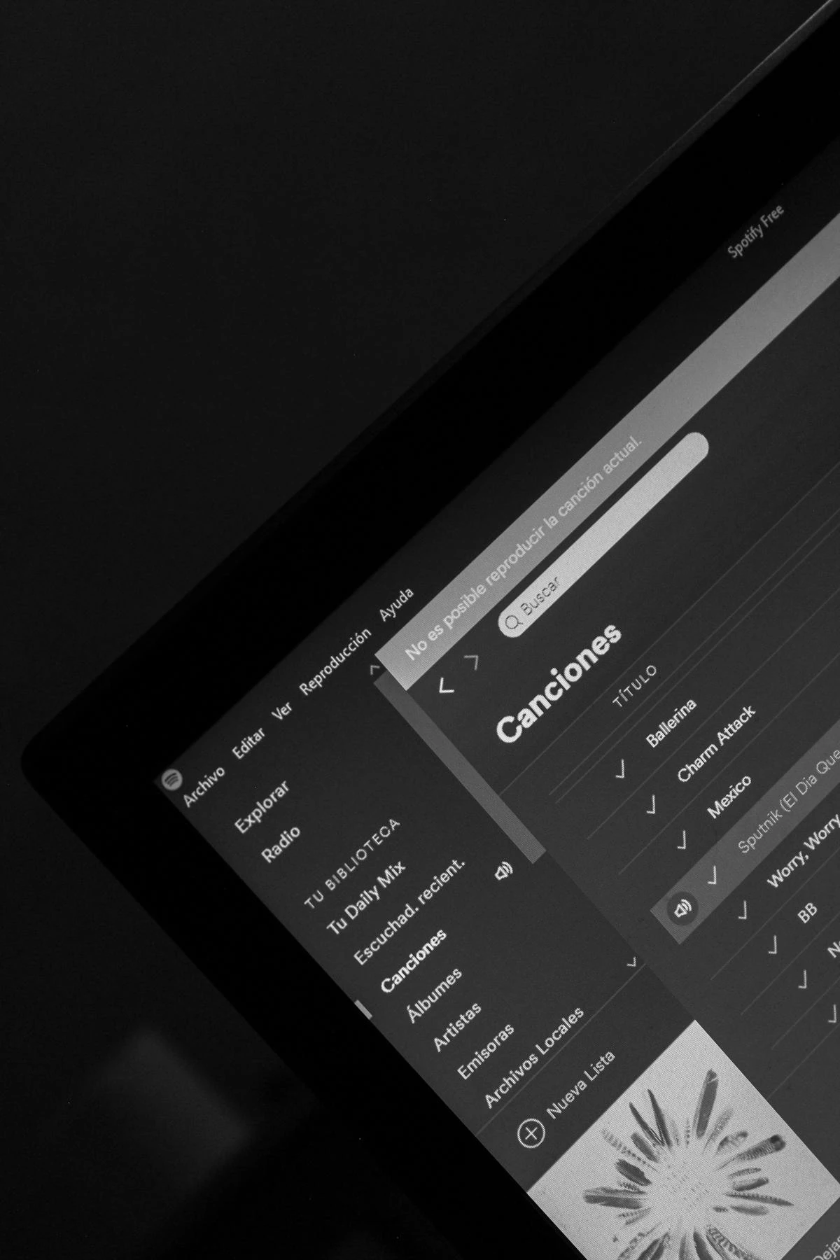 Spotify su laptop