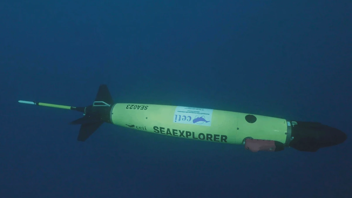 Glider subacqueo SEAEXPLORER usato per il monitoraggio acustico dei capodogli