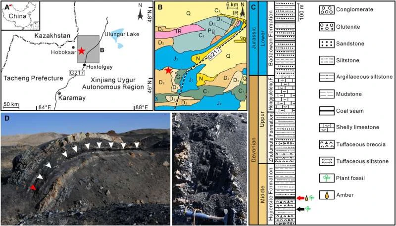 Contesto geologico dello strato di carbone della Formazione di Hujiersite