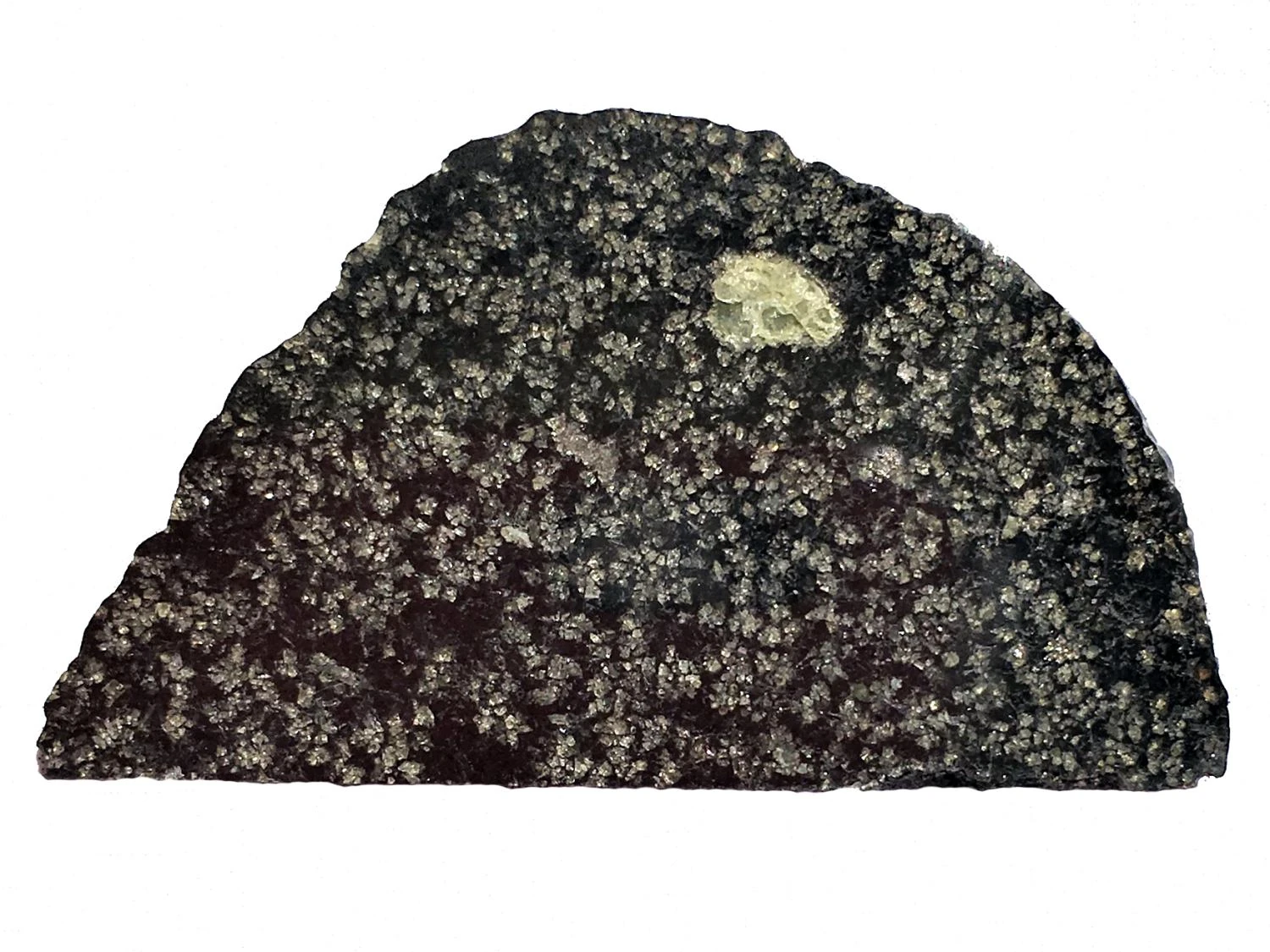 Una fetta del meteorite NWA 12774 con un cristallo verde di olivina