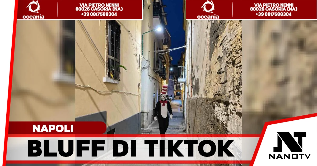 Presunto avvistamento del Gatto col Cappello in un vicolo di Napoli, diffuso su TikTok