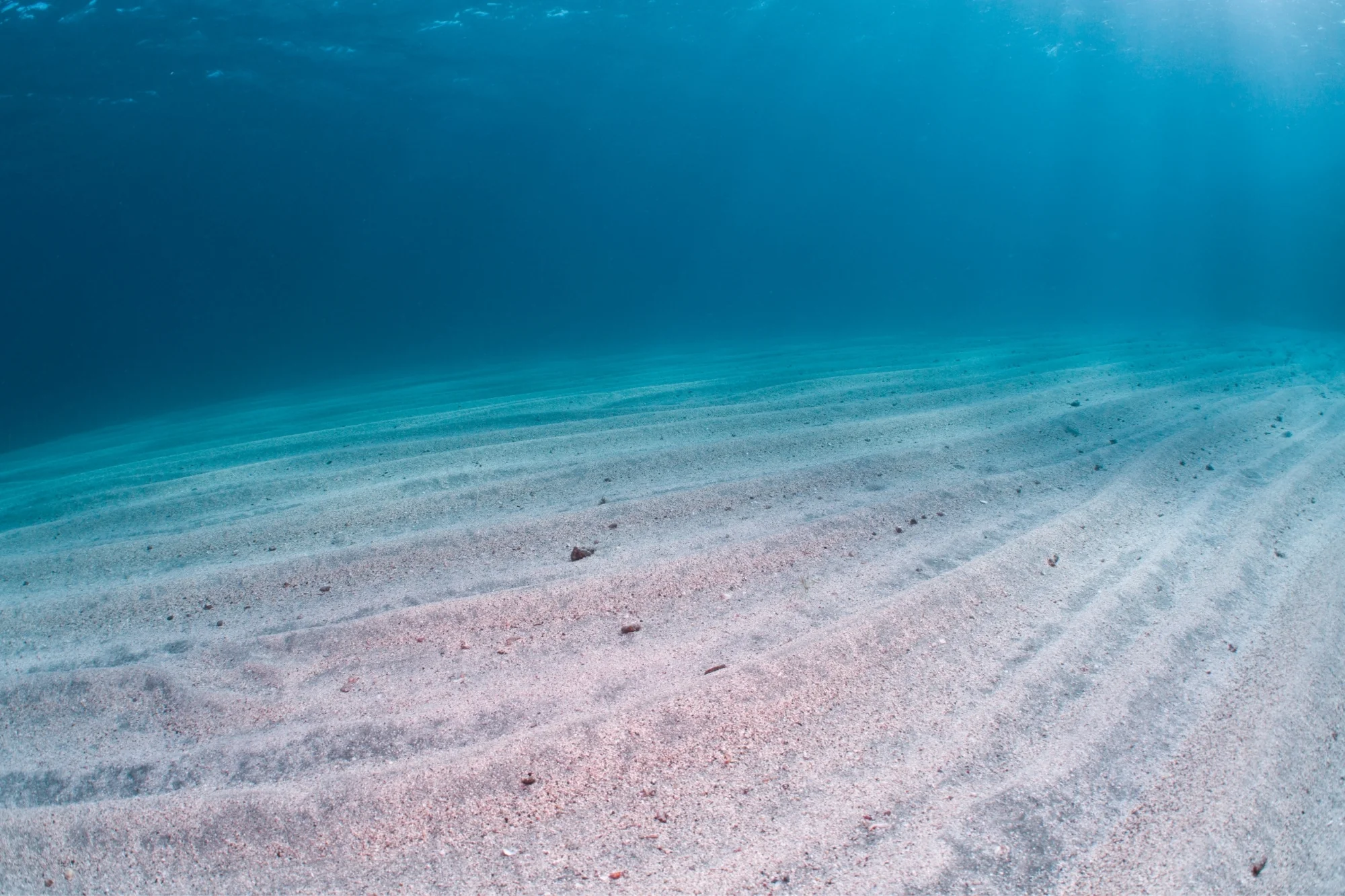 Fondale marino del Mediterraneo