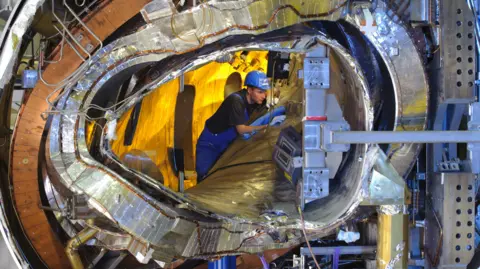 Tecnico all'interno del stellarator W7-X