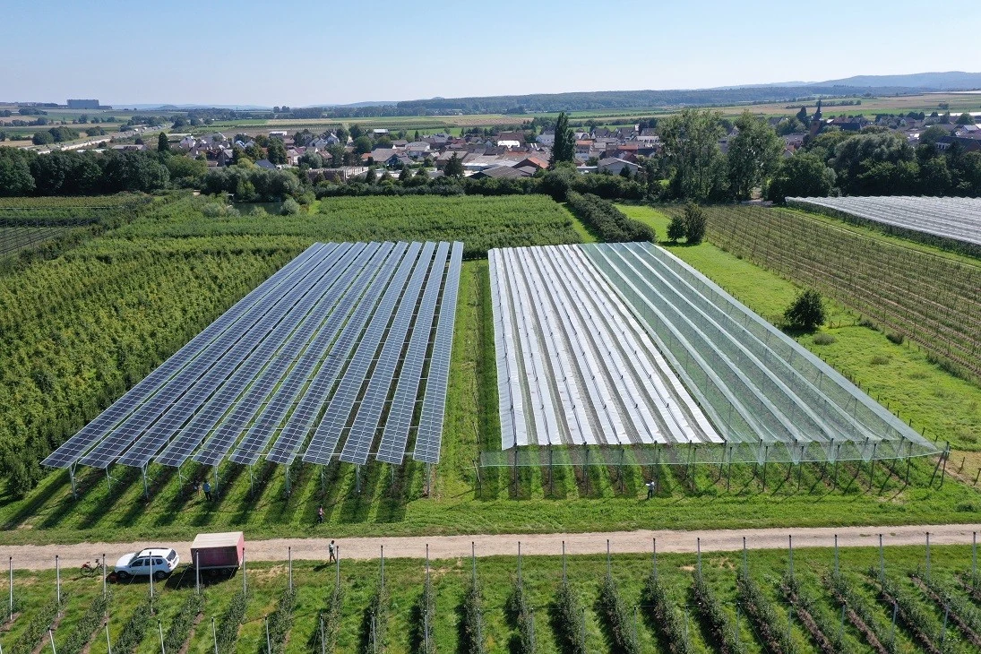 Un impianto agrivoltaico: pannelli solari sopraelevati sopra un campo coltivato