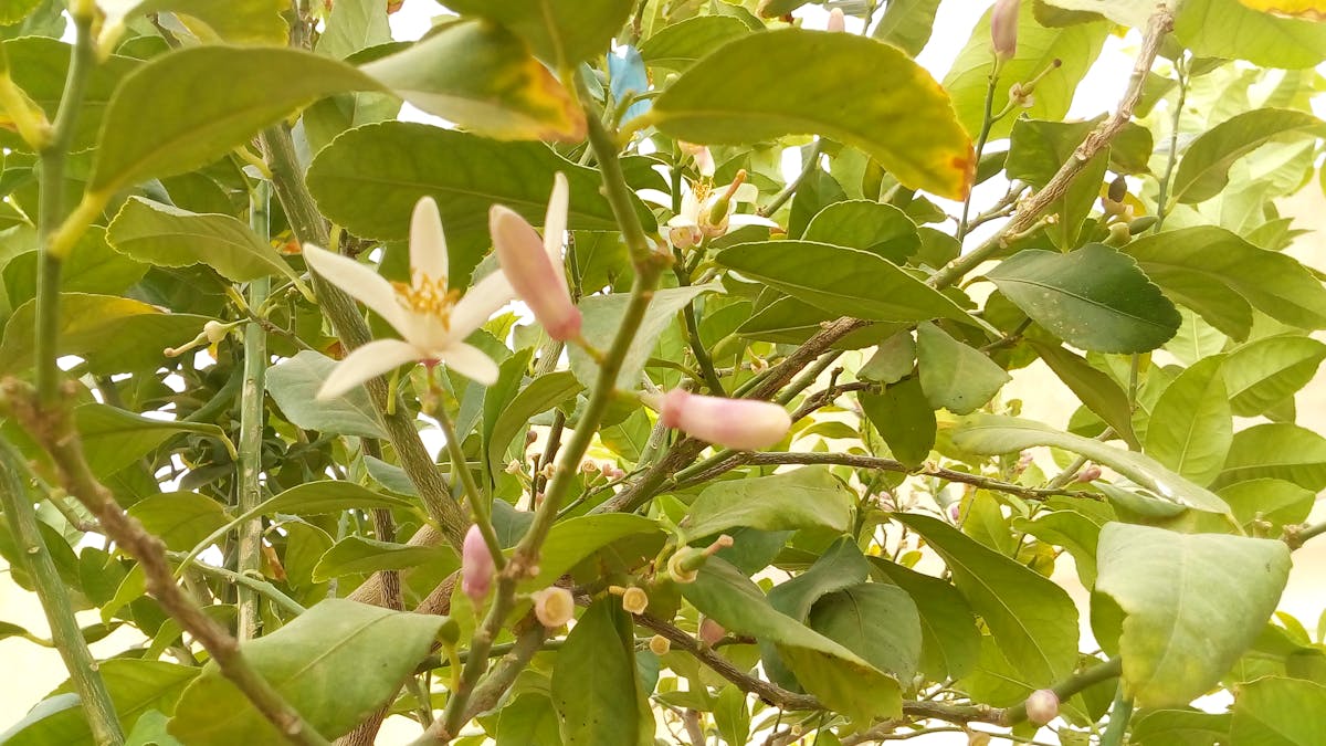 Persona che controlla il telefono con notifiche social